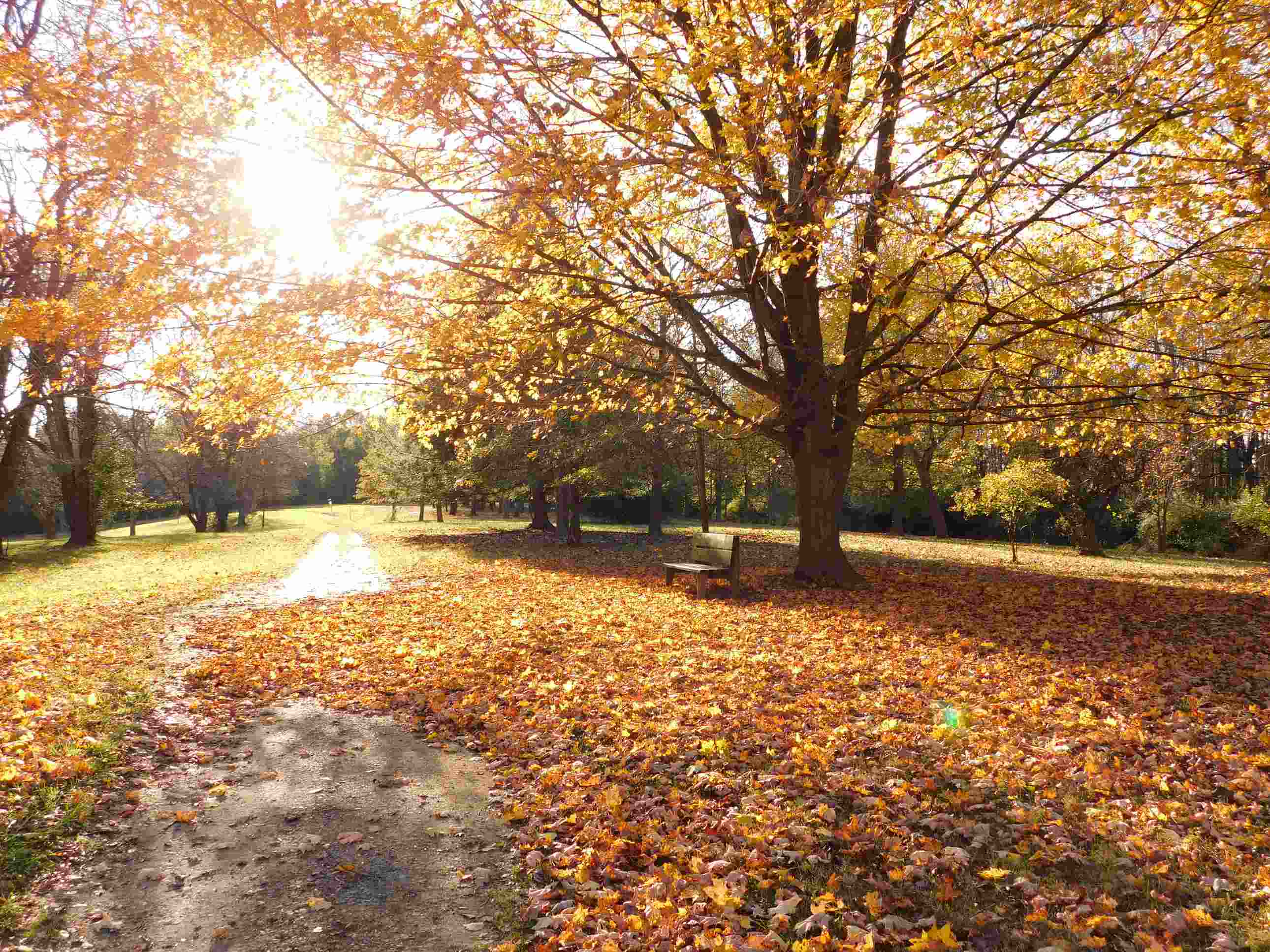 Duane-Loveland_Brecks-Mil-on-Brandywine